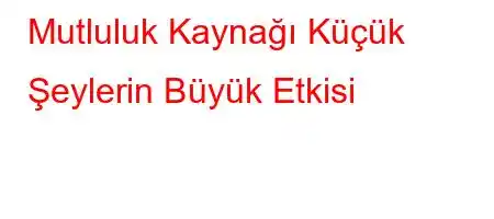 Mutluluk Kaynağı Küçük Şeylerin Büyük Etkisi