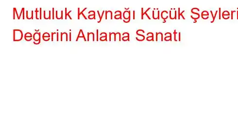 Mutluluk Kaynağı Küçük Şeylerin Değerini Anlama Sanatı