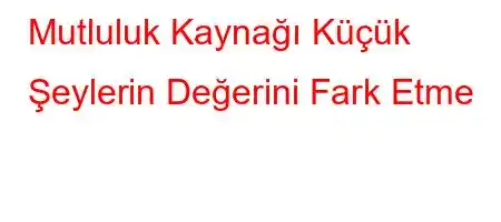 Mutluluk Kaynağı Küçük Şeylerin Değerini Fark Etme