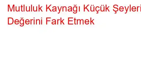 Mutluluk Kaynağı Küçük Şeylerin Değerini Fark Etmek