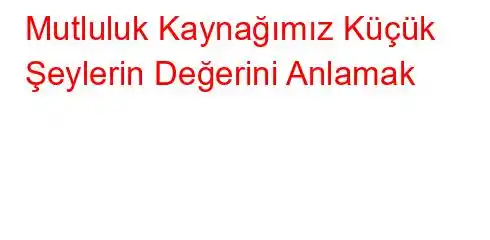 Mutluluk Kaynağımız Küçük Şeylerin Değerini Anlamak