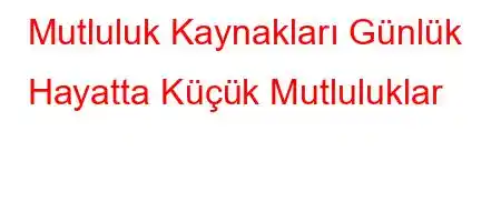 Mutluluk Kaynakları Günlük Hayatta Küçük Mutluluklar