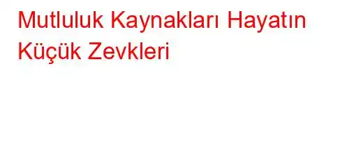 Mutluluk Kaynakları Hayatın Küçük Zevkleri