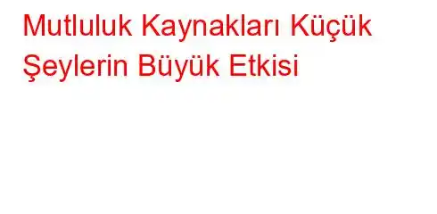 Mutluluk Kaynakları Küçük Şeylerin Büyük Etkisi