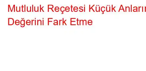 Mutluluk Reçetesi Küçük Anların Değerini Fark Etme