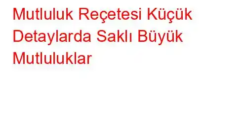 Mutluluk Reçetesi Küçük Detaylarda Saklı Büyük Mutluluklar