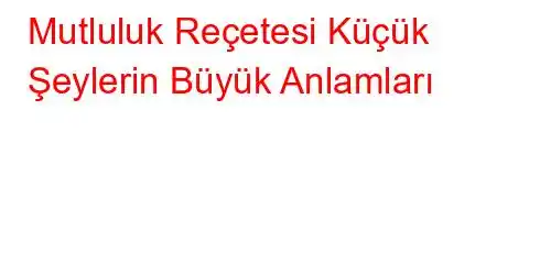 Mutluluk Reçetesi Küçük Şeylerin Büyük Anlamları