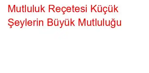 Mutluluk Reçetesi Küçük Şeylerin Büyük Mutluluğu