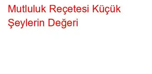  Mutluluk Reçetesi Küçük Şeylerin Değeri