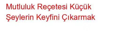 Mutluluk Reçetesi Küçük Şeylerin Keyfini Çıkarmak