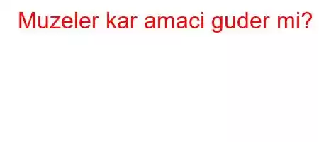 Muzeler kar amaci guder mi