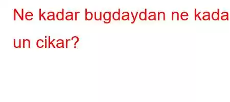 Ne kadar bugdaydan ne kadar un cikar?