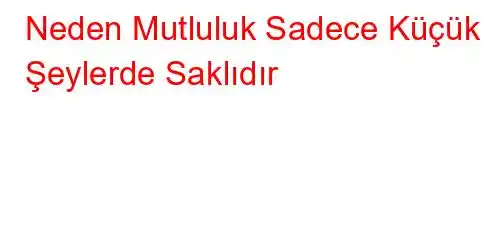 Neden Mutluluk Sadece Küçük Şeylerde Saklıdır