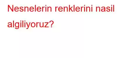 Nesnelerin renklerini nasil algiliyoruz?