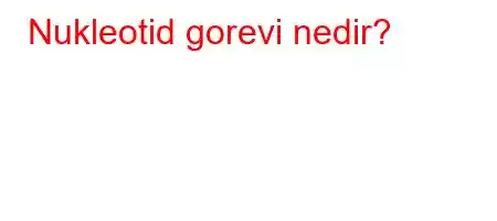 Nukleotid gorevi nedir?