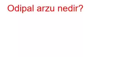 Odipal arzu nedir