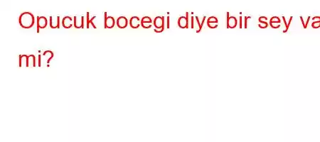 Opucuk bocegi diye bir sey var mi?