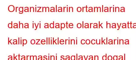 Organizmalarin ortamlarina daha iyi adapte olarak hayatta kalip ozelliklerini cocuklarina aktarmasini saglayan dogal olayin adi nedir?