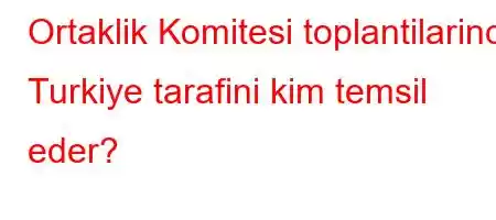 Ortaklik Komitesi toplantilarinda Turkiye tarafini kim temsil eder?