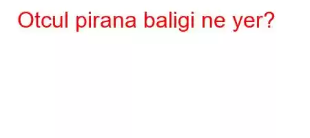 Otcul pirana baligi ne yer