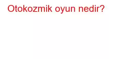 Otokozmik oyun nedir