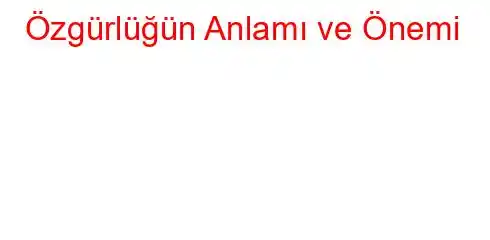 Özgürlüğün Anlamı ve Önemi