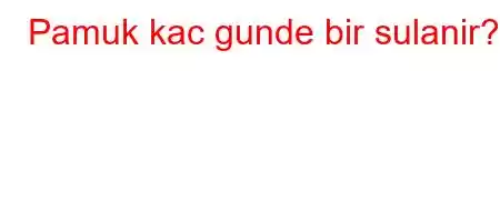 Pamuk kac gunde bir sulanir?