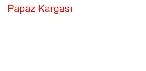 Papaz Kargası