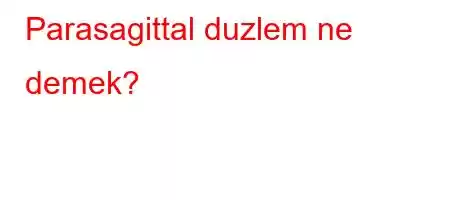 Parasagittal duzlem ne demek?