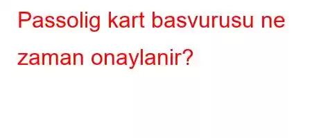 Passolig kart basvurusu ne zaman onaylanir?