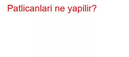 Patlicanlari ne yapilir