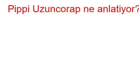 Pippi Uzuncorap ne anlatiyor?