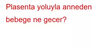 Plasenta yoluyla anneden bebege ne gecer?