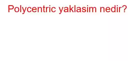 Polycentric yaklasim nedir