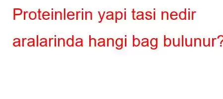 Proteinlerin yapi tasi nedir aralarinda hangi bag bulunur?