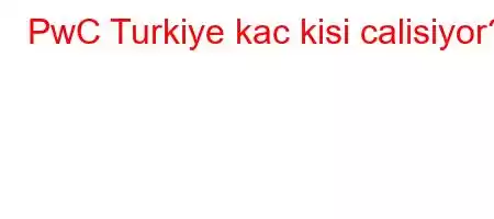 PwC Turkiye kac kisi calisiyor?