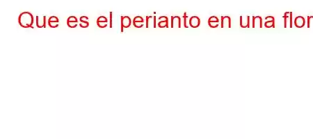 Que es el perianto en una flor?