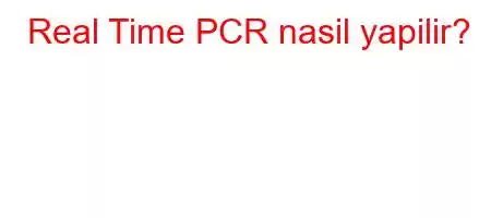 Real Time PCR nasil yapilir?