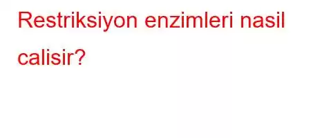 Restriksiyon enzimleri nasil calisir?