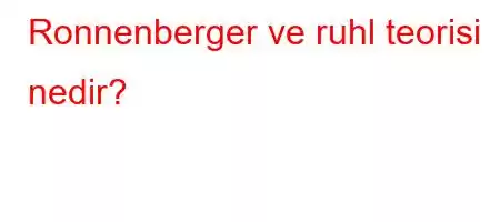 Ronnenberger ve ruhl teorisi nedir?