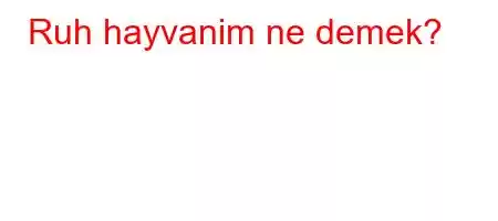 Ruh hayvanim ne demek?