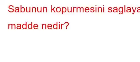 Sabunun kopurmesini saglayan madde nedir?