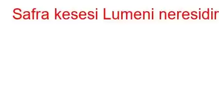 Safra kesesi Lumeni neresidir