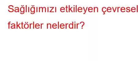 Sağlığımızı etkileyen çevresel faktörler nelerdir?