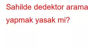 Sahilde dedektor arama yapmak yasak mi