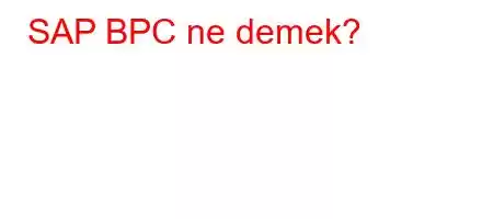 SAP BPC ne demek?