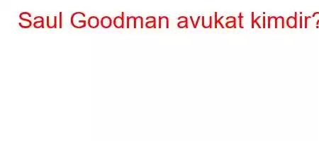 Saul Goodman avukat kimdir