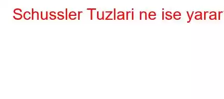 Schussler Tuzlari ne ise yarar?