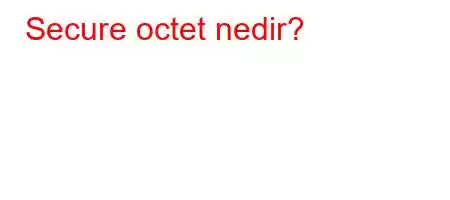 Secure octet nedir?