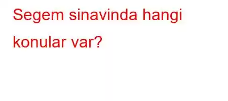 Segem sinavinda hangi konular var?